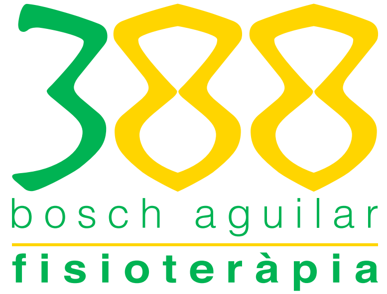 388 Bosch Aguilar Fisio